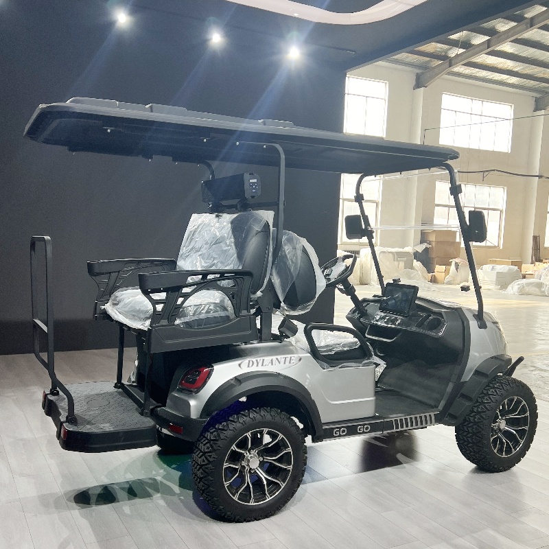 Carrello da golf fuoristrada c - Folding Solar Panel recensione e prezzo