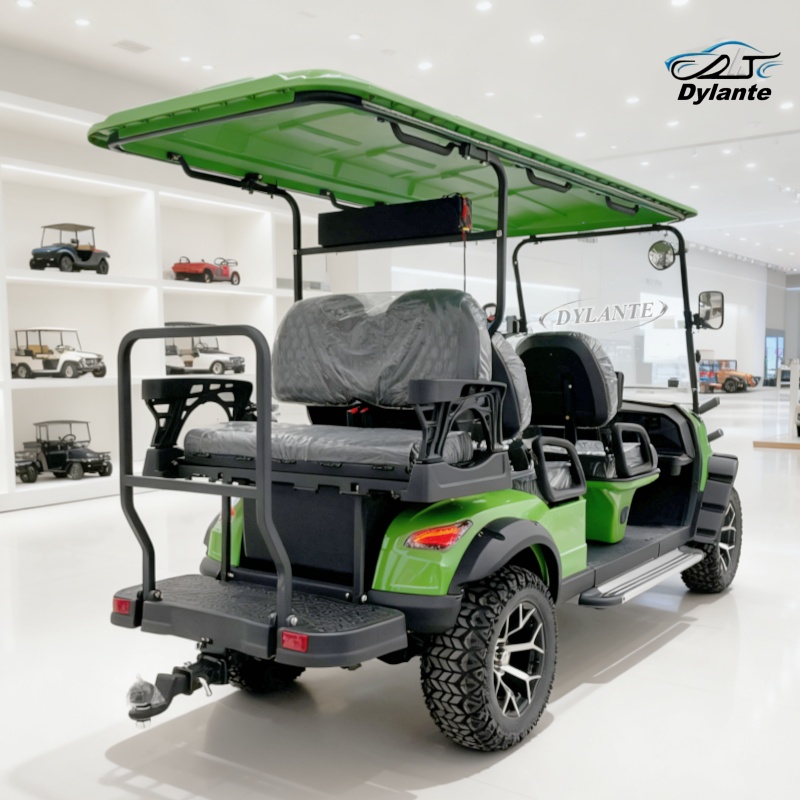 Produttore di carrelli da golf - Folding Solar Panel recensione e prezzo